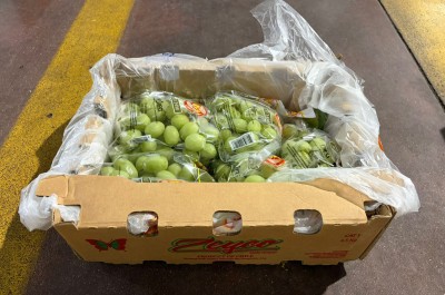 Foto Uva Bianca Varietà Sweet Globe Calibro j Origine Chile Marchio Zeyco 1